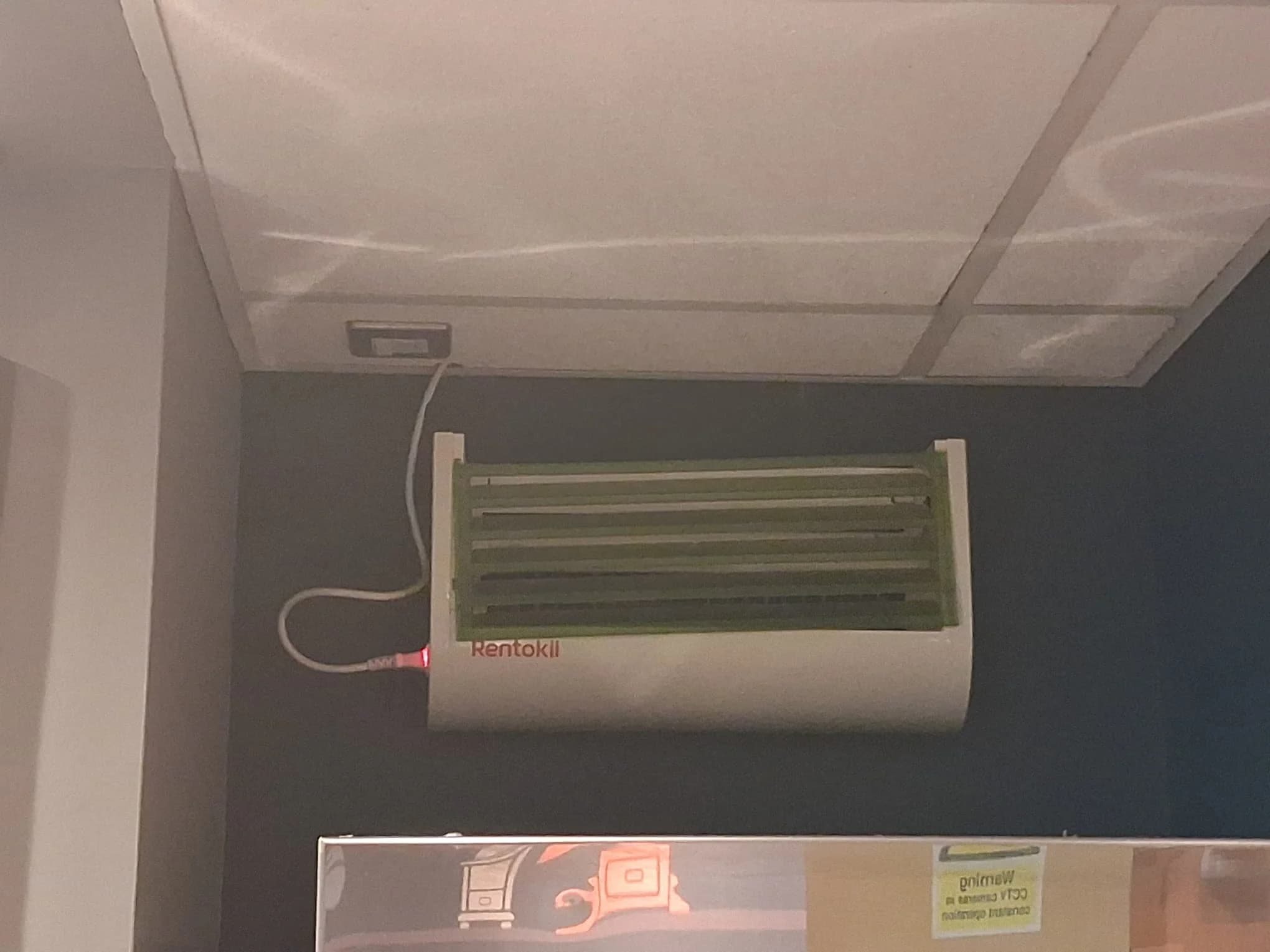 Bug zapper appliance during PAT testing
