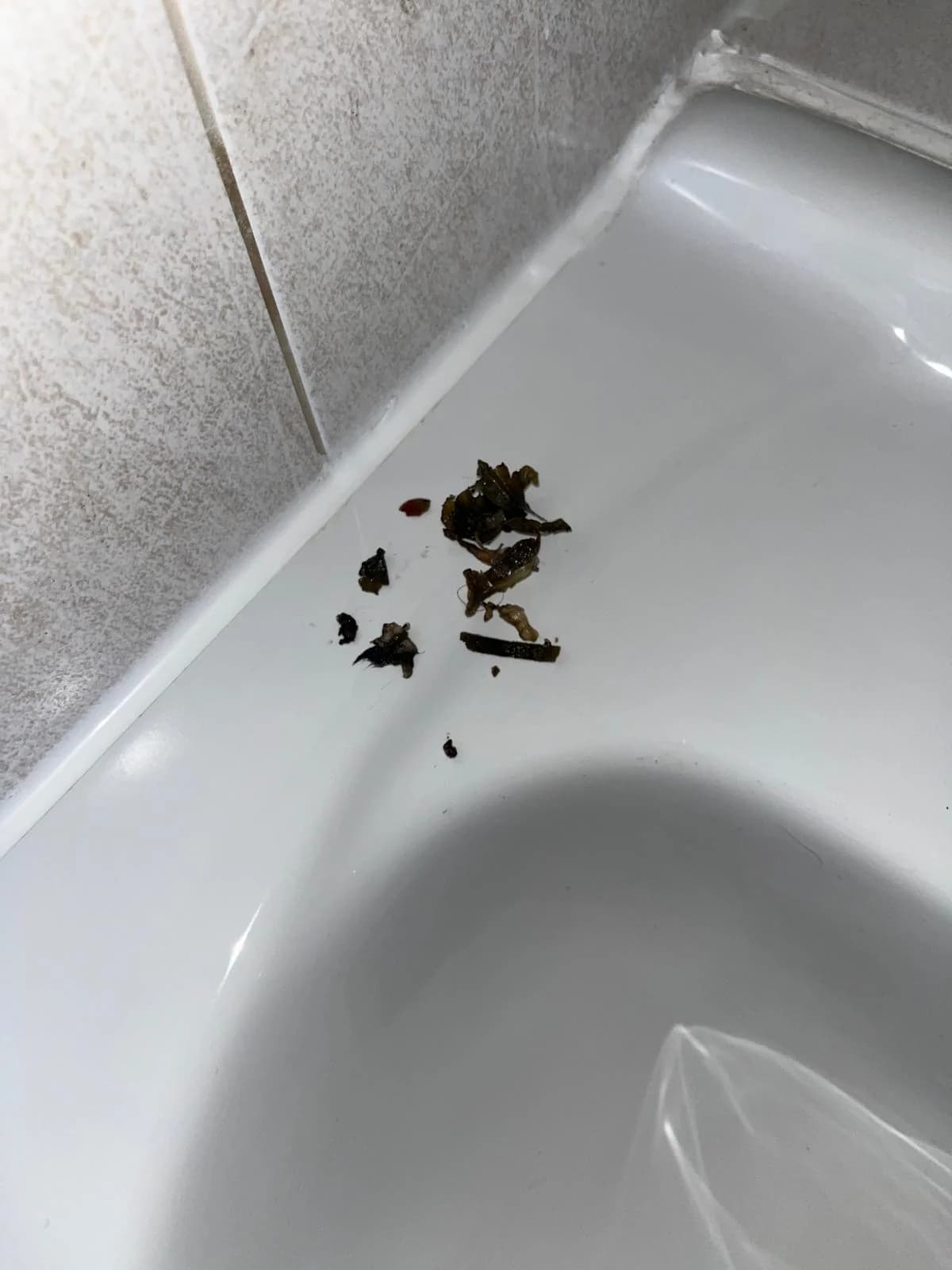Sink blockage inspection and waste check